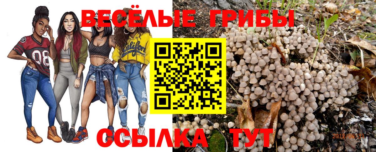Псилоцибиновые грибы Psilocybine cubensis Железноводск